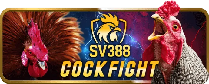 Đá gà trực tiếp tại c33win link mới